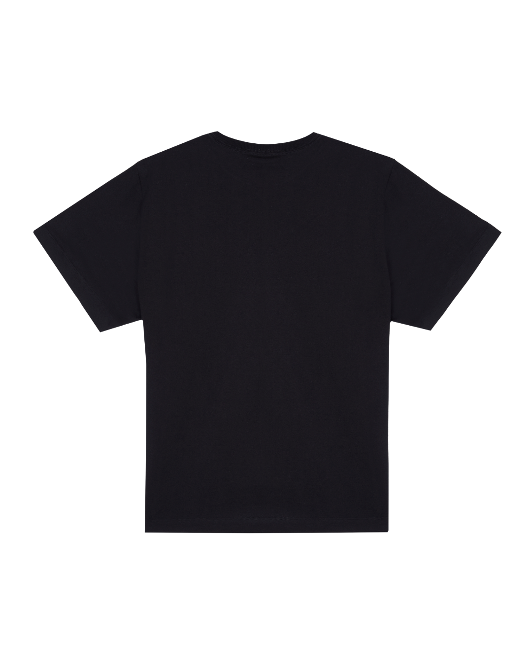 Camiseta regular fit | preto