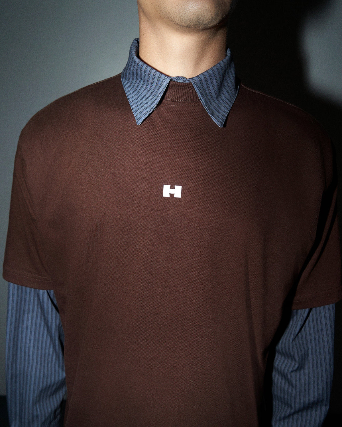 Camiseta Lisa Logo Marrom HIST, detalhe do look